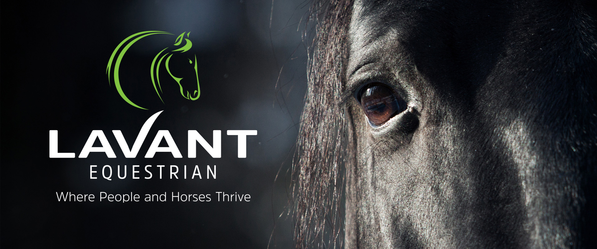 Lavant Equestrian